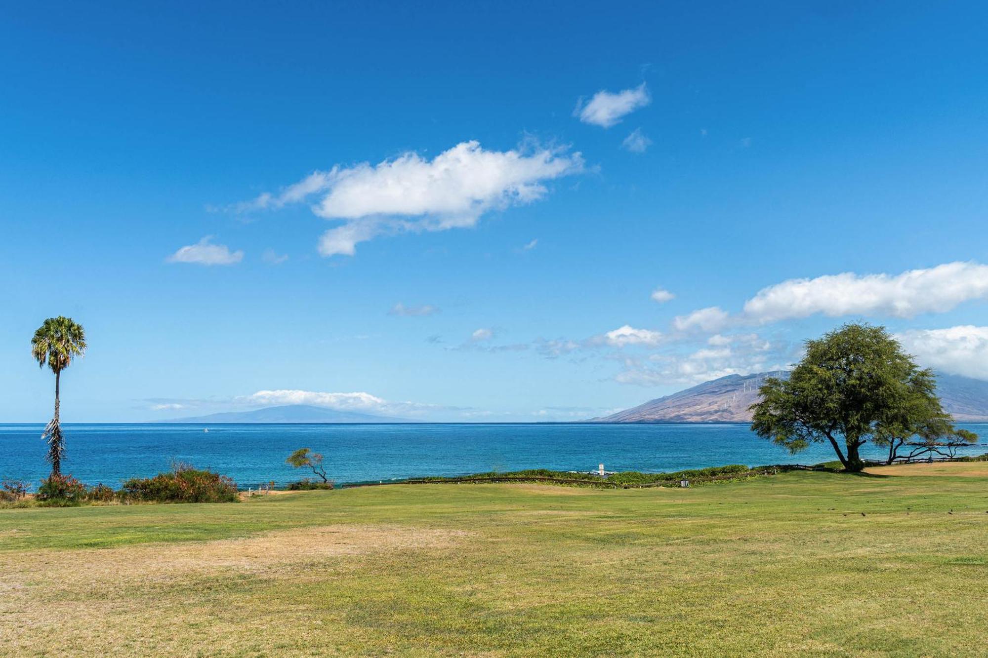 Апартаменты Maui Kamaole H-101 Уэйлея Экстерьер фото